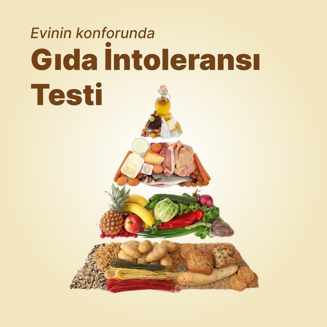 Gıda İntoleransı Testi